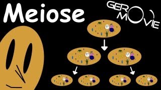 Meiose Biologie GeroMovie [upl. by Ahsatsana927]