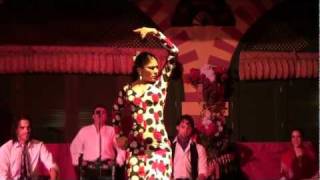 Flamenco Dance Seville Spain [upl. by Nosnar493]