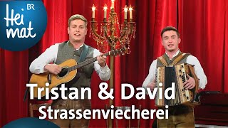 Tristan amp David Strassenviecherei  BrettlSpitzen  BR Heimat  die beste Volksmusik [upl. by Kuhn]