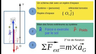 2e loi de Newton Cas des mouvements rectilignes Méthode [upl. by Revell]