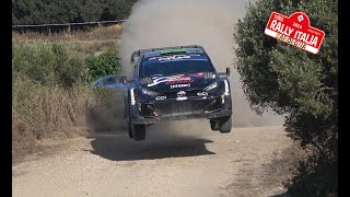 WRC Rally Italia Sardegna 2024  FLAT OUT amp JUMPS  CRV [upl. by Wilkison]