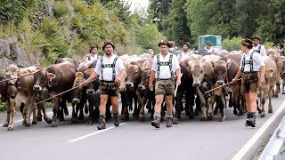 So schön war der Viehscheid in Oberstaufen 2022 [upl. by Enelloc]