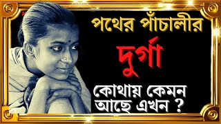 পথের পাঁচালী ছবির দুর্গা বাস্তব জীবনে কেমন আছেন। unknown fact about uma dasgupta patherpanchali [upl. by Hgielyk]