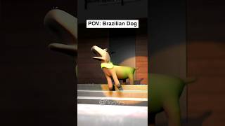 POV Normal Dog Vs Brazilian Dog [upl. by Daile]