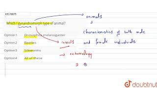 Which I gynandromorph type of animal [upl. by Dombrowski]