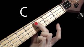 Learn Bass Guitar  Scales amp Chord Tones  part 1 [upl. by Laband]