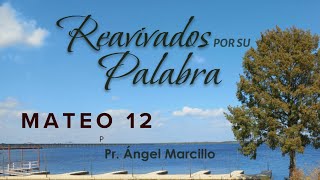 REAVIVADOS POR SU PALABRA MATEO 12 11 DE AGOSTO DEL 2024 [upl. by Verine]