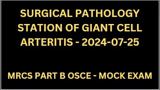 SURGICAL PATHOLOGY STATION OF GIANT CELL ARTERITIS [upl. by Pasia]