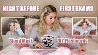 Night Before My First EXAM grwm DIY Flashcards  Rosie McClelland [upl. by Nevlin234]