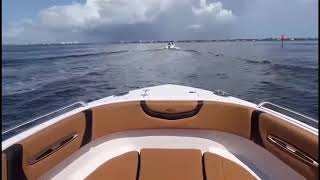 CHAPARRAL AND ROBALO BOATS 2024 TEST [upl. by Miller]