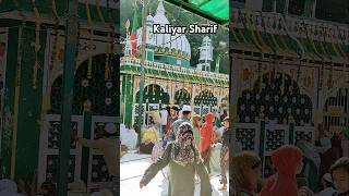 Kaliyar Sharif Sabir paak ka dargaah ytshorts love kaliyarsharifsabirpiya shortsfeed sabirpiya [upl. by Nadler]