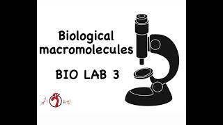 BIO LAB 3Biological Macromolecules [upl. by Washington347]