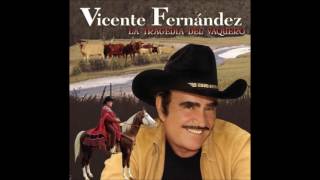 VICENTE FERNANDEZ ÉXITOS VOL 1 FULL AUDIO [upl. by Airamak574]