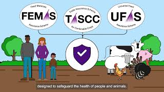 How Imported Crops Are Tested and Assured for UK Food and Feed Markets [upl. by Avenej]