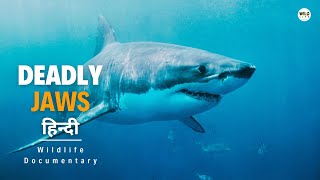 Deadly Jaws  हिन्दी डॉक्यूमेंट्री Wild Africa  Wildlife documentary in Hindi [upl. by Lilllie234]