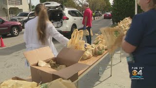 Food Giveaway At Hialeah Hospital [upl. by Enyallij22]