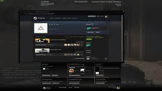 CSGO Hacked Service Medal  hacked prime [upl. by Omidyar]