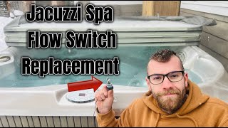 Hot Tub Flow Switch Replacement Jacuzzi [upl. by Clim]