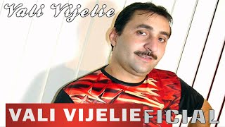 Vali Vijelie cu Liviu Pustiu si Marius de la Focsani  Dragoste fara sfarsit [upl. by Ahtoelc]