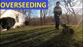 Overseeding Lawn How to Aerate Lawn Add Lime to Increase pH and Overseed for a Thick Lawn [upl. by Atiuqaj972]