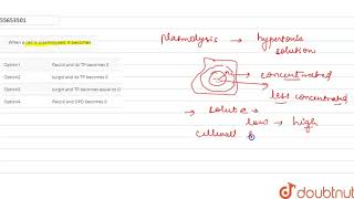 When a cell is plasmolysed it becomes [upl. by Edrahc]