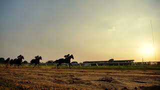 Fakenham races ladies day [upl. by Morey350]