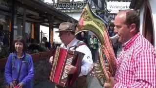 GaudiEinlage in der Drosselgasse  Spontane Musik mit Bariton und Akkordeon [upl. by Jeannie82]