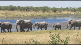 Epacha game Lodge and Spa Namibia [upl. by Annaerda]