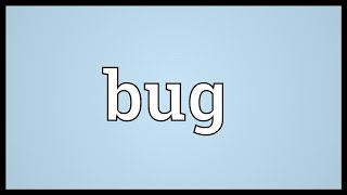 Bug Meaning [upl. by Riocard603]