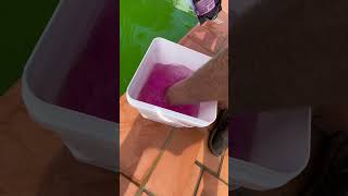 Cleaning Pool Asmr asmr poolcleaner short [upl. by Amor]