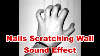 Nails Scratching Wall Noises Sounds  Film amp Sound Effects [upl. by Oicor42]