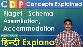 Piaget  Schema Assimilation Accommodation CDP Concepts हिन्दी Explanation [upl. by Akelahs966]