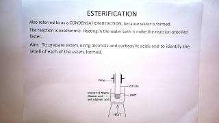 Esterification Theory for Practical Gr 12 [upl. by Ralyt502]