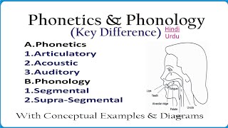 Phonetics and Phonology key Difference amp Similarities in Hindi amp Urdu Linguistics [upl. by Talbot]