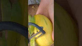 Amazing mango cutting skills😋🥰🥰shorts viral funny ar food [upl. by Hughett]