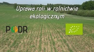 Uprawa roli w rolnictwie ekologicznym [upl. by Avad751]