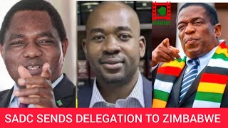 WATCH LIVE SADC sends delegation to Zimbabwe to deal with Mnangagwa [upl. by Ossy]