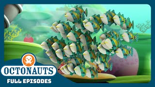 Octonauts  🐠 The Humuhumunukunukuapua’a 🐠  Season 1  Full Episodes  Cartoons for Kids [upl. by Faust]