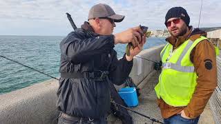 Admiralty Pier Dover Fishing Trial Day 2021 [upl. by Inaliak254]