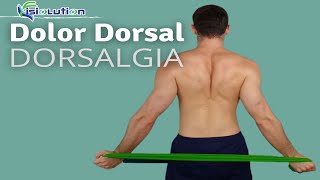 DOLOR DORSAL o DORSALGIA  6 EJERCICIOS ALIVIAR y PREVENIR  Fisiolution [upl. by Sheridan211]