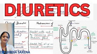 Diurtics classification mechanism of action site of action [upl. by Yerfoeg]