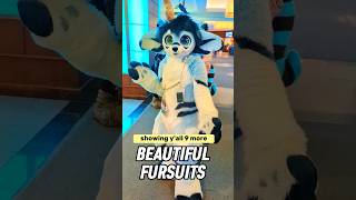 9 beautiful fursuits from furnal equinox 2023 furnalequinox furry fursuits fursuiters [upl. by Gladstone]