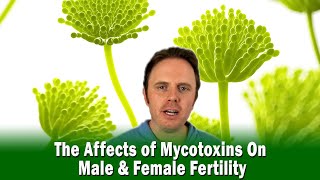 The Affects of Mycotoxins On Male amp Female Fertility  Podcast 318 [upl. by Lohcin]