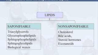 3B 815 Saponifiable amp Nonsaponifiable Lipids [upl. by Pizor]