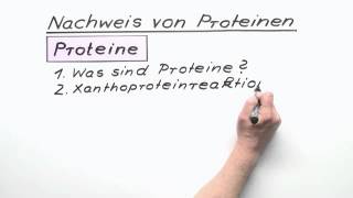 Nachweis von Proteinen  Chemie  Organische Chemie [upl. by Adara]