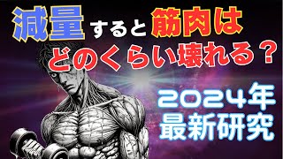 【筋トレ科学】減量すると筋肉はどのくらい壊れるの？ 2024年最新研究 [upl. by Rawde]