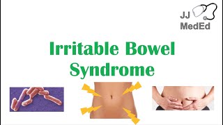 Irritable Bowel Syndrome IBS Causes Symptoms Bristol Stool Chart Types and Treatment [upl. by Florine]