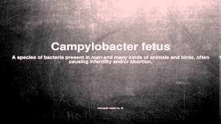 Medical vocabulary What does Campylobacter fetus mean [upl. by Anecusa]