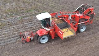 Harvesting potatoes with Grimme [upl. by Yramliw]