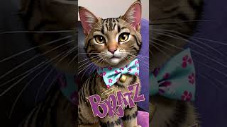 The brattiest pet cat kitten catmemes catlover cute funny catshorts [upl. by Mert]